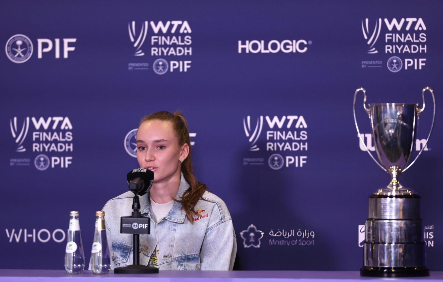 Elena Rybakina regrets Hiring Ivanisevic For The 2025 Season after rue